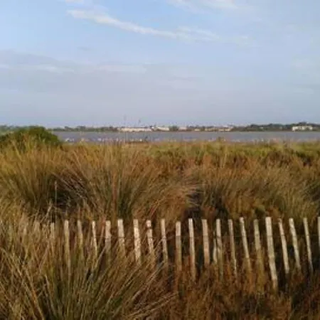 Vue Et Sur Les Iles D'or D'hyeres *