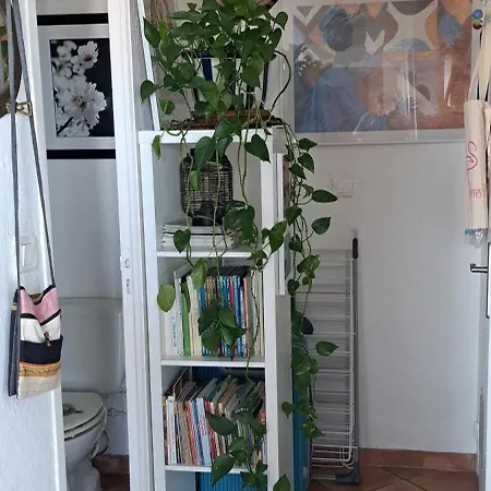 Апартаменты Vue Et Sur Les Iles D'or D'hyeres *